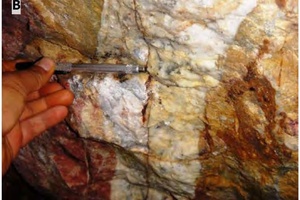 Alta Gracia gold-silver ore specimen