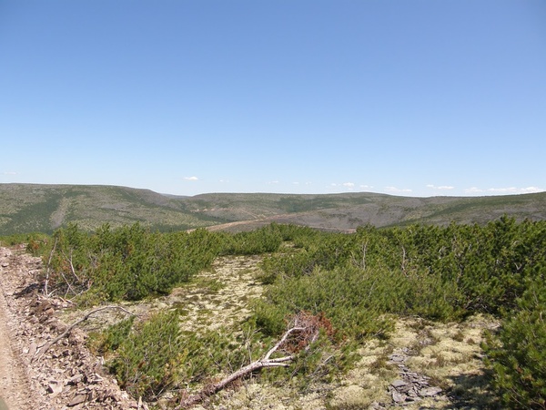 Поисковое бурение на рудопроявлении Гросс. Лето 2007.