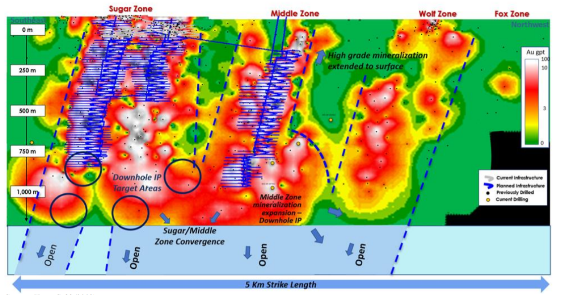 Longitudinal projection – contoured gold grades