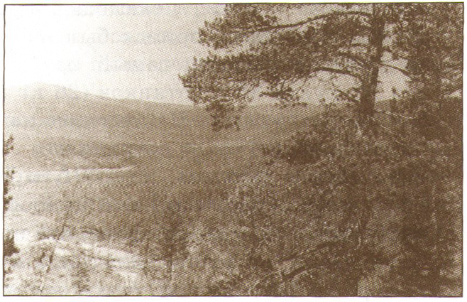 Золотоносная долина реки Большой Балаганах