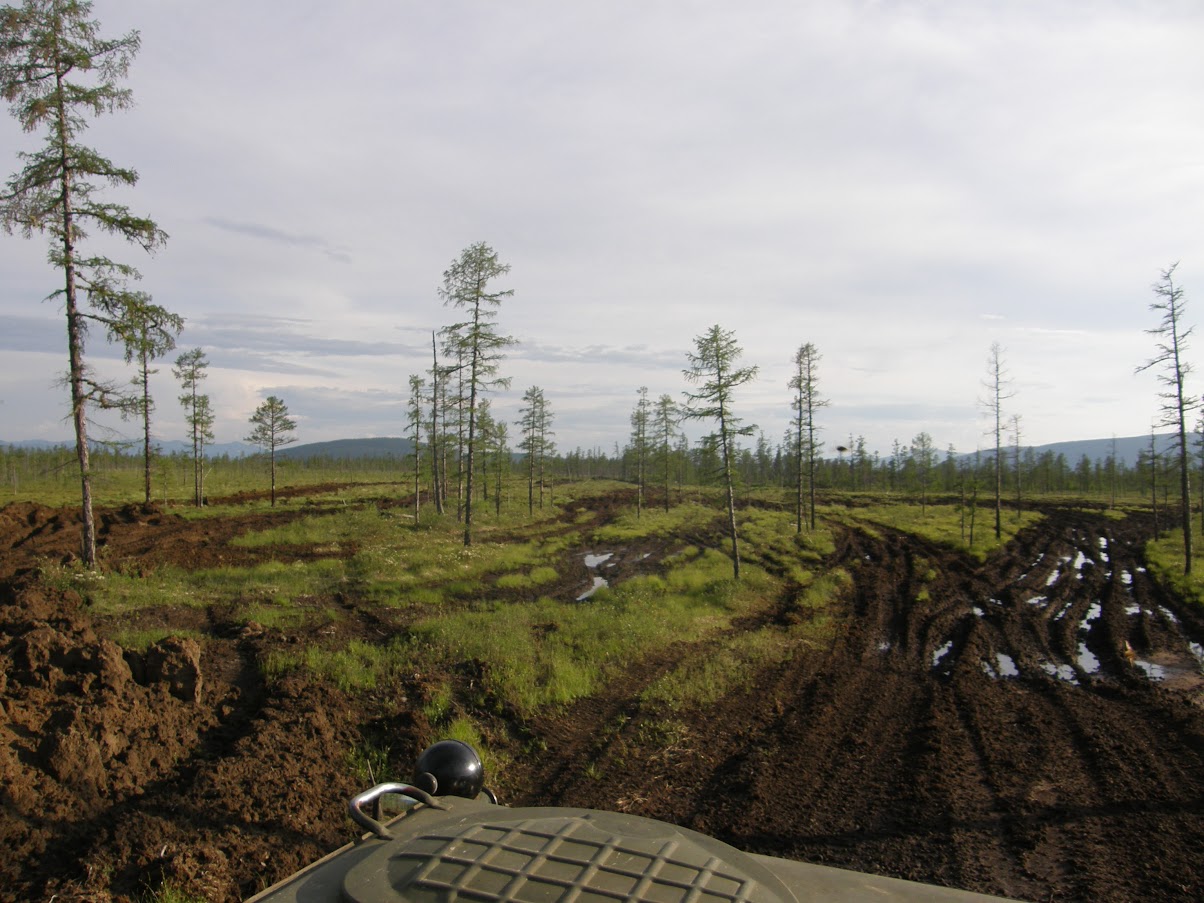 Дорога на месторождение