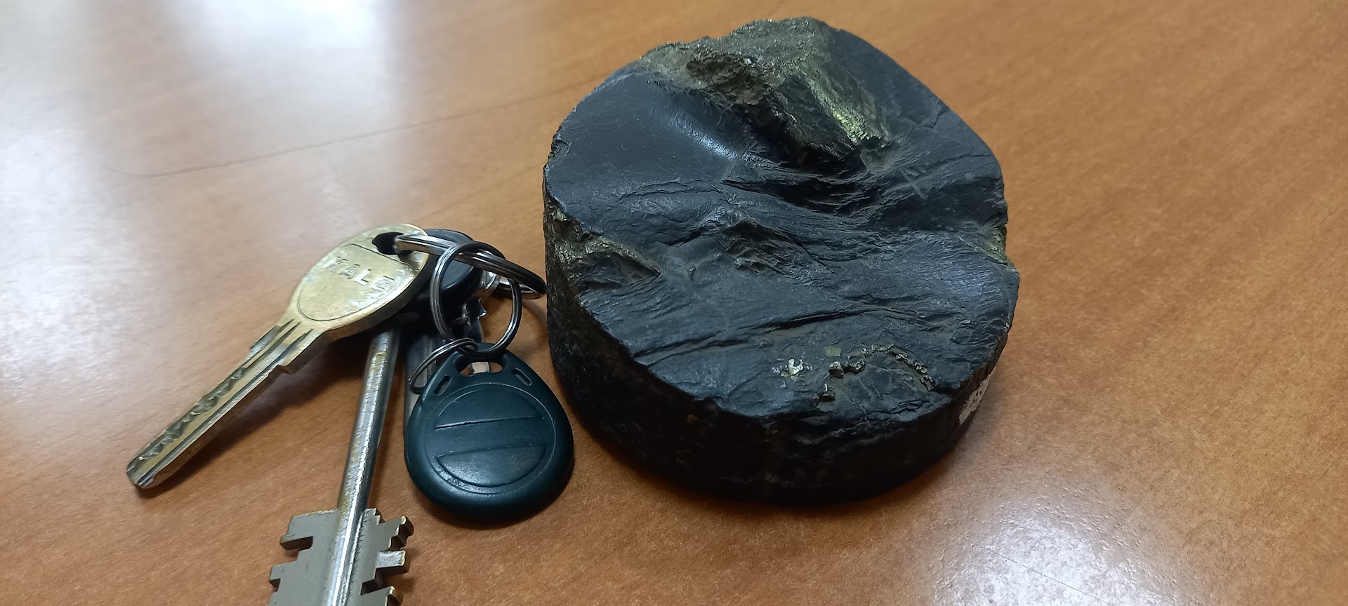 Углеродсодержащий сланец хомолхинской свиты