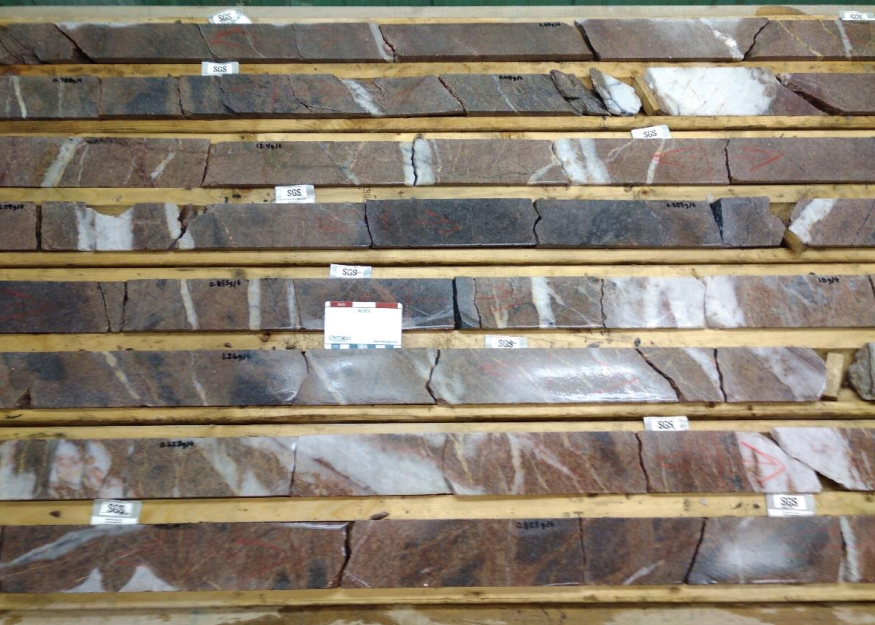 Altered and Veined Drill Core