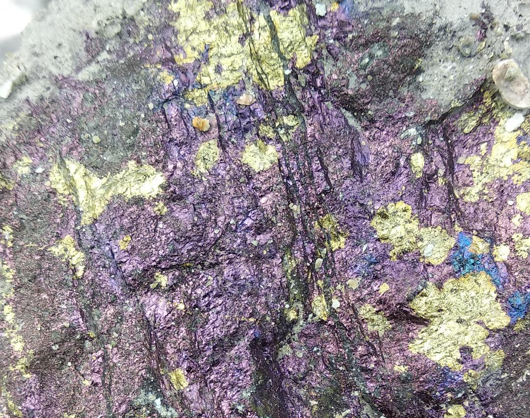 Халькопирит-борнитовая минерализация