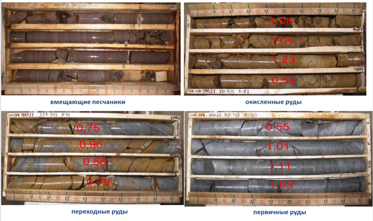 Вмещающие породы и руды месторождения