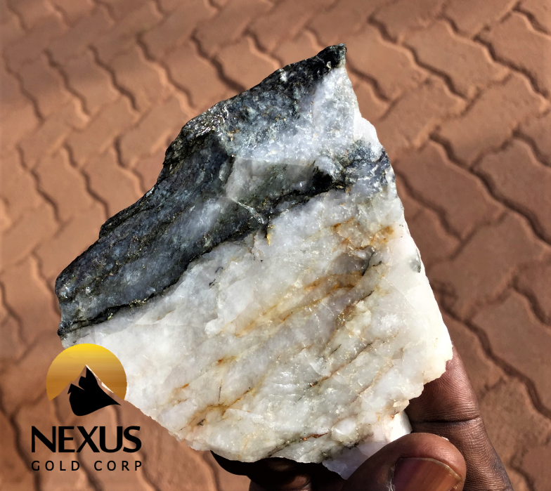 Main quartz vein and associated shear zone