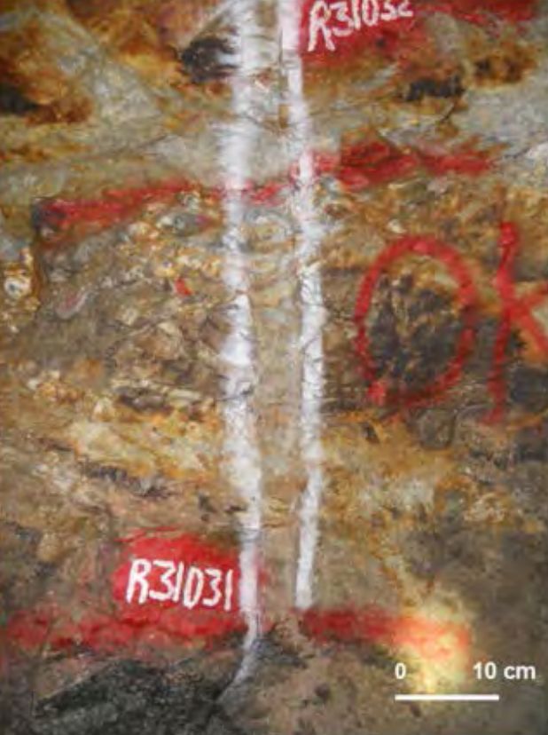 Quartz‐sulfidic veins hosted in granodiorite rocks