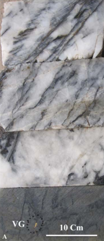 Mineralized core intervals from four different Boreholes.