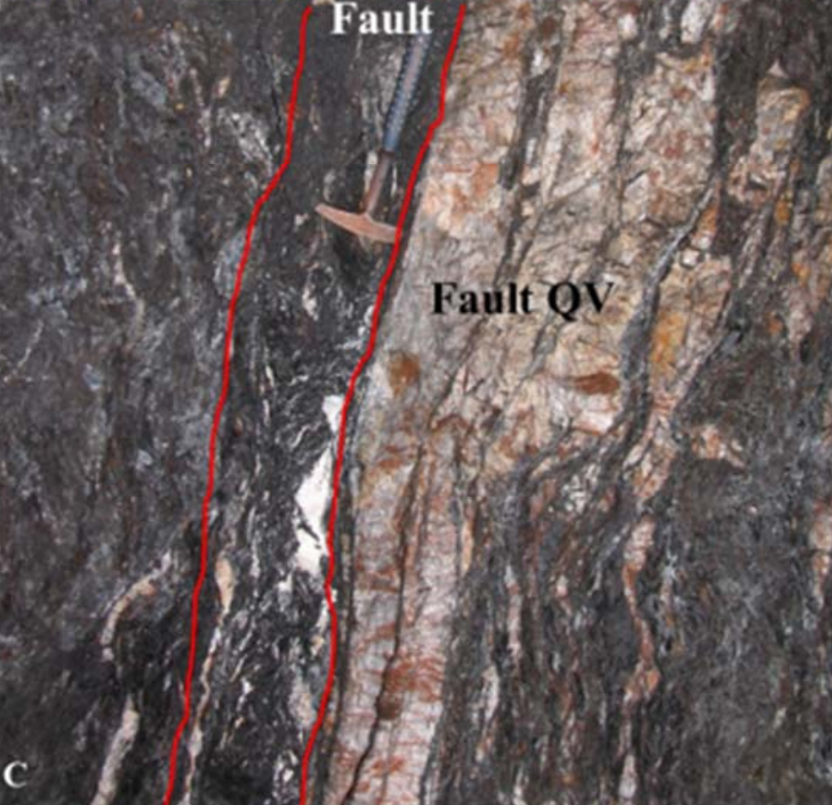 Reef style mineralization