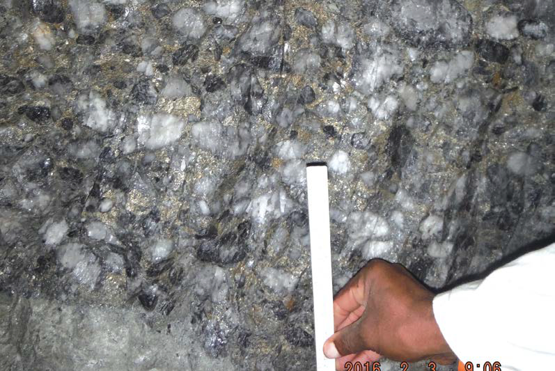 VS5 Aandenk reef of the Eldorado Formation, Witwatersrand