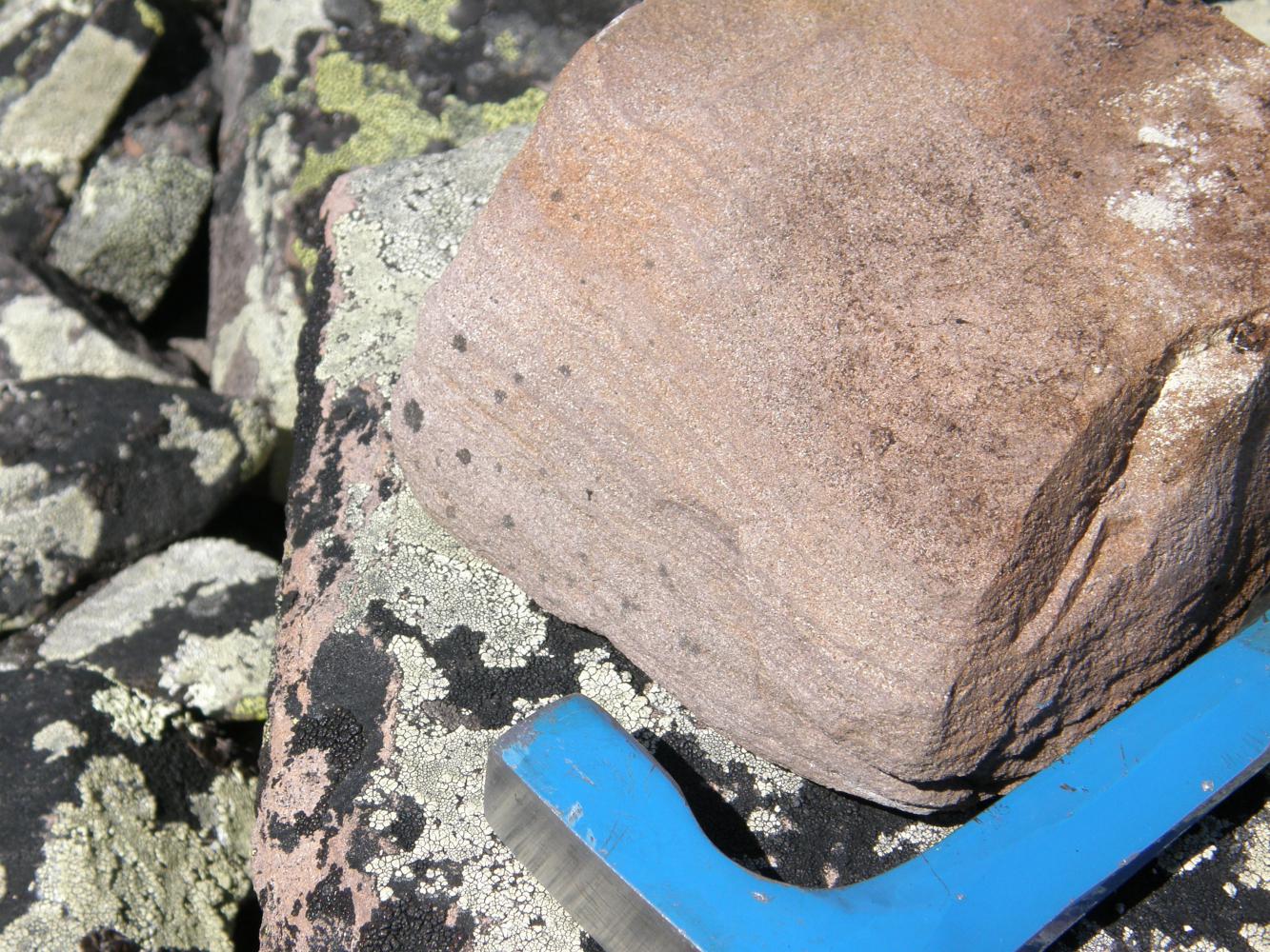 Red-colored polymictic and arcose sandstones gross